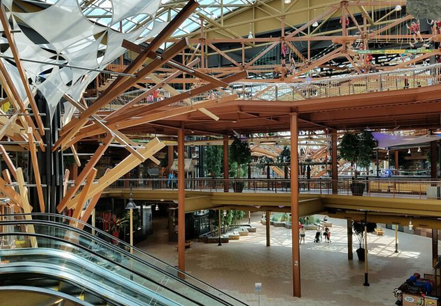 Finding Unique Souvenirs in Syracuse: Where to Shop Local
